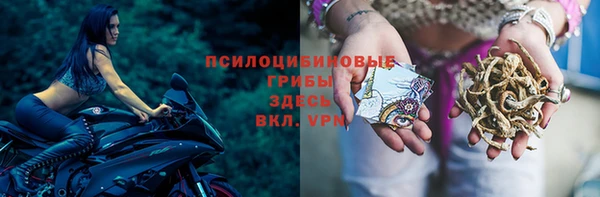 стаф Абаза