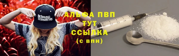 стаф Абаза